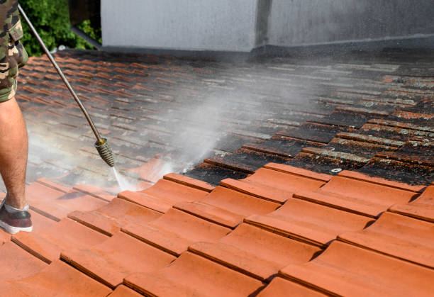 Best Local Pressure Washing Services  in Hurleyville, NY